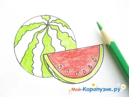 Як намалювати кавун олівцем поетапно для початківців (кавун) Як намалювати кавун олівцем поетапно для початківців
