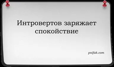 Як спілкуватися з інтровертом, особливості його характеру (характер інтроверта) Як спілкуватися з інтровертом, особливості його характеру