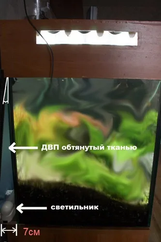 Яке обладнання потрібно для акваріума з рослинами (обладнання) Яке обладнання потрібно для акваріума з рослинами