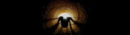 Як визначити стать павука-птахоїда 1 (першою парою стигм) Як визначити стать павука-птахоїда 1