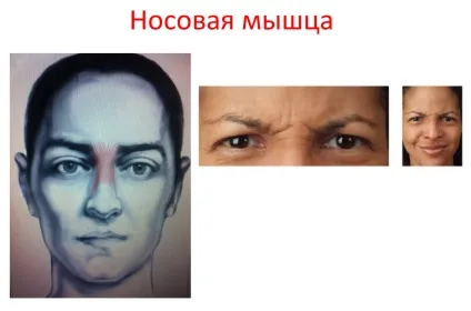 Як зупинити час чи змусити його працювати назад - про молодість
