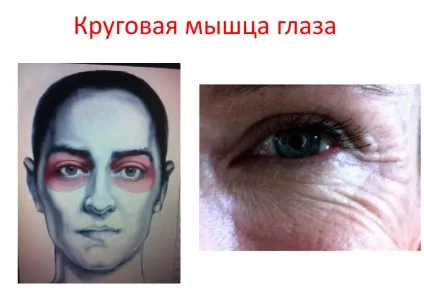 Як зупинити час чи змусити його працювати назад - про молодість