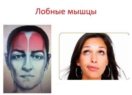 Як зупинити час чи змусити його працювати назад - про молодість
