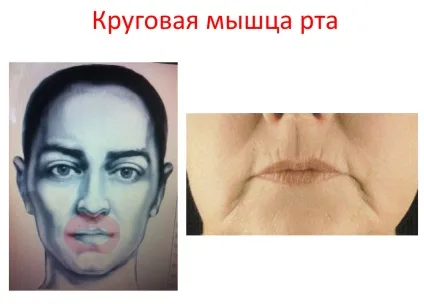 Як зупинити час чи змусити його працювати назад - про молодість