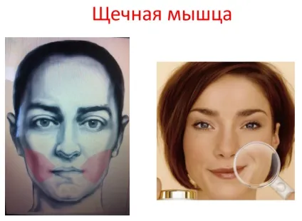 Як зупинити час чи змусити його працювати назад - про молодість