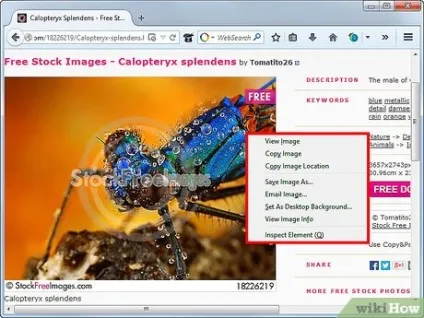 Як відключити скрипт, який забороняє правий клацання мишею в firefox