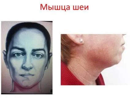 Як зупинити час чи змусити його працювати назад - про молодість