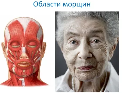 Як зупинити час чи змусити його працювати назад - про молодість