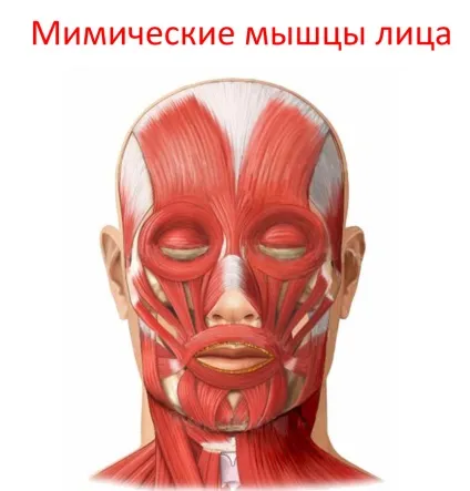 Як зупинити час чи змусити його працювати назад - про молодість