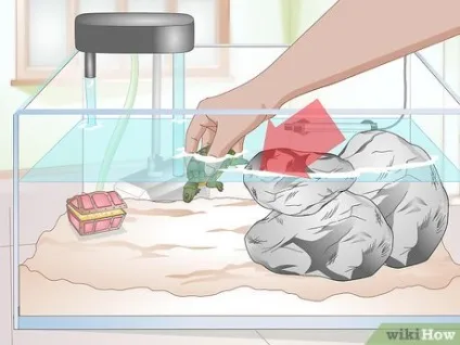 Як почистити акваріум водоплавної черепахи (акваріум занадто важкий) Як почистити акваріум водоплавної черепахи