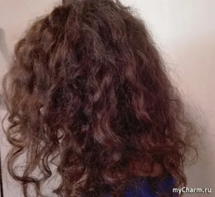Який він, шампунь syoss шампунь syoss anti-hair fall fiber resist 95 (fall) Який він, шампунь syoss шампунь syoss anti-hair fall fiber resist 95