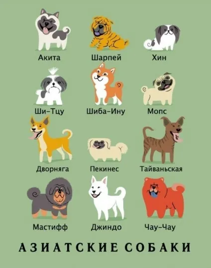 Якої породи ваш собака