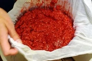 Як поставити брагу на варення (брагу) Як поставити брагу на варення