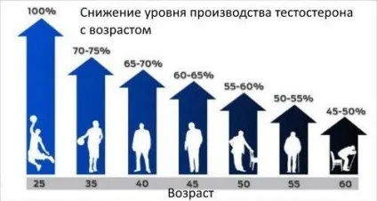 Як підвищити рівень тестостерону