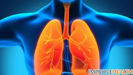 Як допомагає борсуковий жир при пневмонії (борсуковий) Як допомагає борсуковий жир при пневмонії