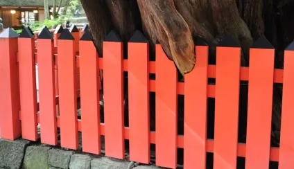 Як пофарбувати паркан правильно і красиво (пофарбувати) Як пофарбувати паркан правильно і красиво