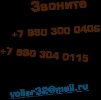 Як правильно вибрати клітку для собаки (клітку) Як правильно вибрати клітку для собаки