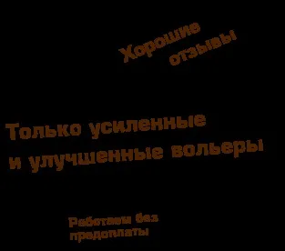 Як правильно вибрати клітку для собаки (клітку) Як правильно вибрати клітку для собаки