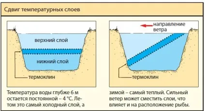 Як спіймати рибу в глибокому кар'єрі
