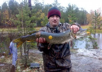 Як спіймати щуку в погану погоду - ідеальний варіант (ловля щуки в дощ) Як спіймати щуку в погану погоду - ідеальний варіант