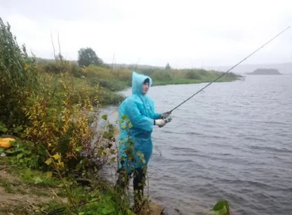 Як спіймати щуку в погану погоду - ідеальний варіант (зловити) Як спіймати щуку в погану погоду - ідеальний варіант
