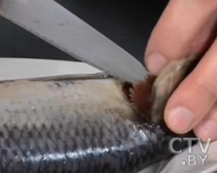 Як надають простроченим продуктам свіжий вигляд, новини (простроченим) Як надають простроченим продуктам свіжий вигляд, новини