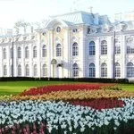 Як пройти до державного ермітаж без черги - відгук про державний Ермітаж, (пройти) Як пройти до державного ермітаж без черги - відгук про державний Ермітаж,