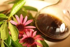 Як приймати настоянку ехінацеї (кількість корисних речовин) Як приймати настоянку ехінацеї