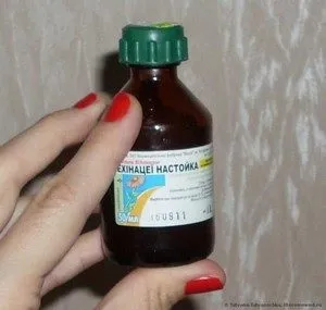 Як приймати настоянку ехінацеї (приймати) Як приймати настоянку ехінацеї