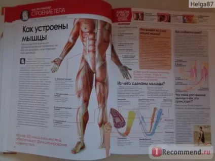 Як працює тіло людини