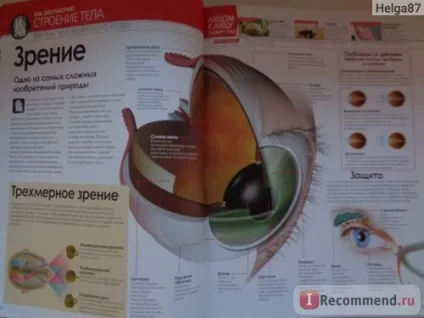 Як працює тіло людини