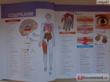 Як працює тіло людини