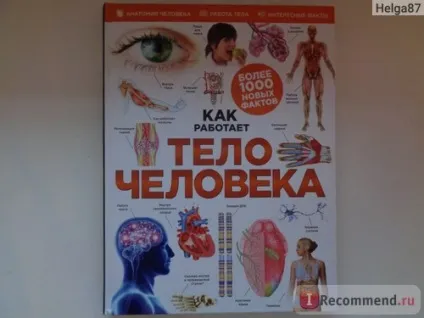 Як працює тіло людини