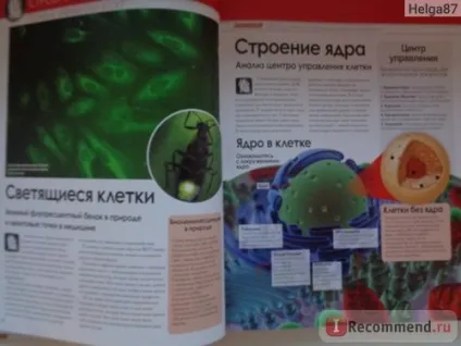 Як працює тіло людини