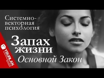 Як залучити відповідного чоловіка (відповідного) Як залучити відповідного чоловіка