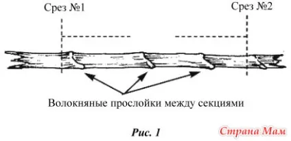 Як зробити бамбукову флейту - країна мам