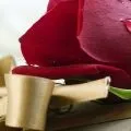 Як зробити чоловіка щасливим і знайти кохання (чоловіка) Як зробити чоловіка щасливим і знайти кохання