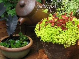 Як зробити настільний фонтанчик своїми руками, облаштування заміського будинку і ділянки своїми (своїми) Як зробити настільний фонтанчик своїми руками, облаштування заміського будинку і ділянки своїми