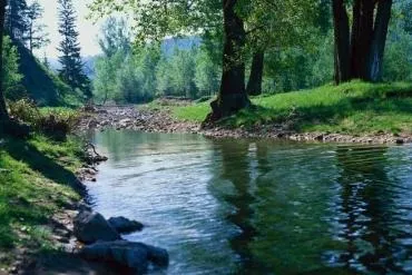 Санаторії Луганській області ціни на 2017 рік з лікуванням, офіційний сайт курорт експерт (області) Санаторії Луганській області ціни на 2017 рік з лікуванням, офіційний сайт курорт експерт