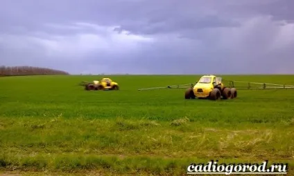 селітра добриво