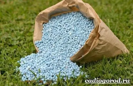 селітра добриво