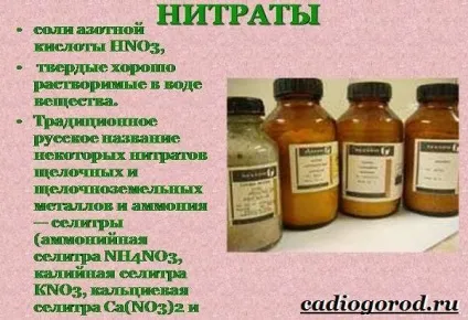 селітра добриво