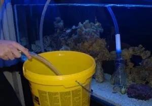 Як злити воду з акваріума (акваріума) Як злити воду з акваріума