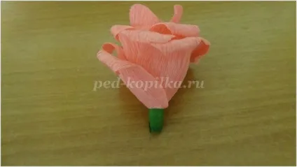 Як зробити троянди з креповой паперу своїми руками крок за кроком з фото (паперу) Як зробити троянди з креповой паперу своїми руками крок за кроком з фото