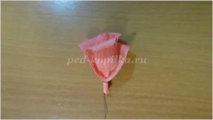 Як зробити троянди з креповой паперу своїми руками крок за кроком з фото (паперу) Як зробити троянди з креповой паперу своїми руками крок за кроком з фото