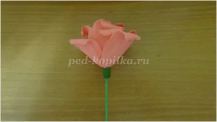 Як зробити троянди з креповой паперу своїми руками крок за кроком з фото (троянди) Як зробити троянди з креповой паперу своїми руками крок за кроком з фото
