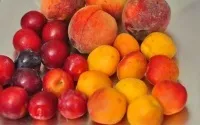 Як зберегти фрукти в домашніх умовах