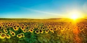 Як створити багатство і достаток психологія світ жінки