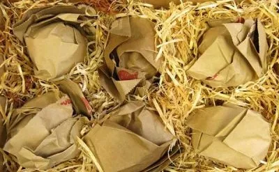 Як зберегти яблука на зиму свіжими в погребі і квартирі (зиму) Як зберегти яблука на зиму свіжими в погребі і квартирі