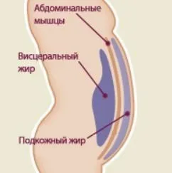 Як прибрати живіт за тиждень або два (прибрати живіт) Як прибрати живіт за тиждень або два